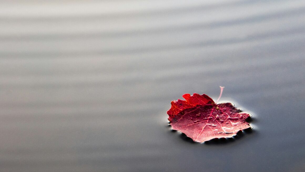 Cisza: Głębia, która transformuje umysł i duszę