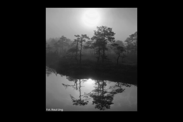 Potęga Poranka: Jak Poranne Rytuały Kształtują Cały Dzień