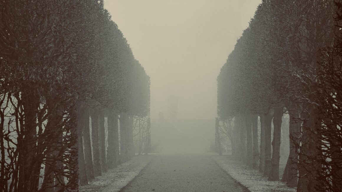 Sorrentino: Światło, które nie wraca