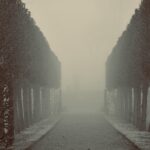 Poranek to kluczowy moment dnia – świadome rytuały, takie jak medytacja i ruch, pomagają w harmonii umysłu i ciała, zwiększając produktywność oraz dobre samopoczucie.