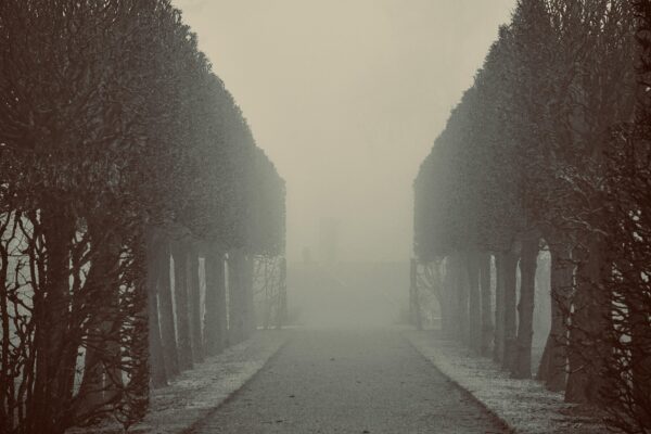 Sorrentino: Światło, które nie wraca