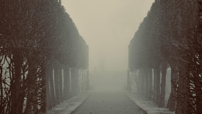 Poranek to kluczowy moment dnia – świadome rytuały, takie jak medytacja i ruch, pomagają w harmonii umysłu i ciała, zwiększając produktywność oraz dobre samopoczucie.