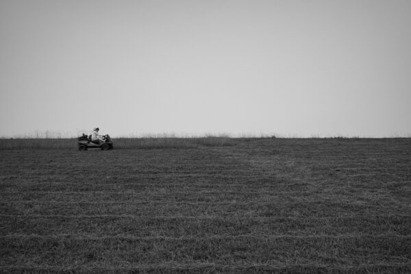 „Prosta historia” – podróż przez życie na kosiarce