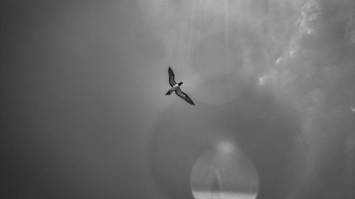 Transcendencja – droga do głębszego poznania siebie i świata