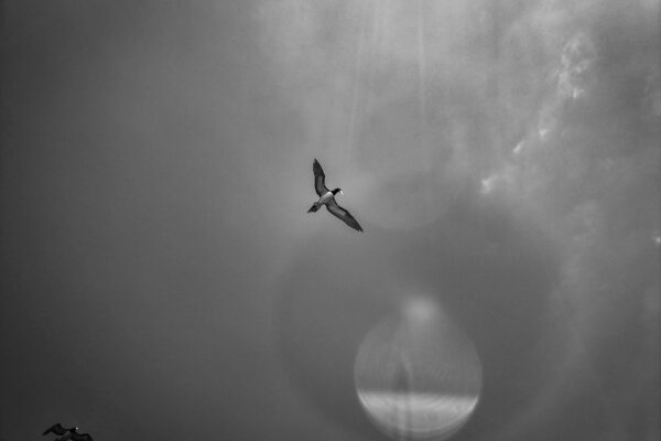 Transcendencja – droga do głębszego poznania siebie i świata