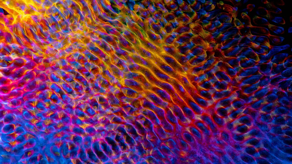 Iluzja posiadania: o sztuce odpuszczania