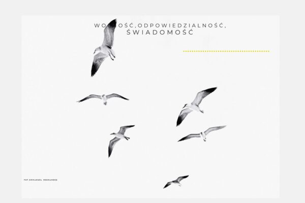 Z cyklu Kłamstwa, którymi żyjemy: „Nie ma co wracać do przeszłości, liczy się tylko tu i teraz”.