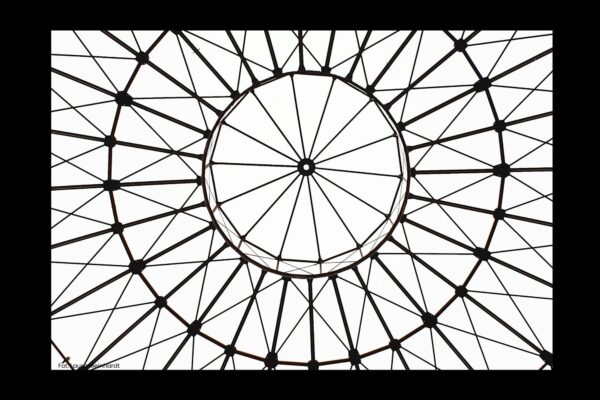 Twój mózg a rzeczywistość- sekrety działania umysłu