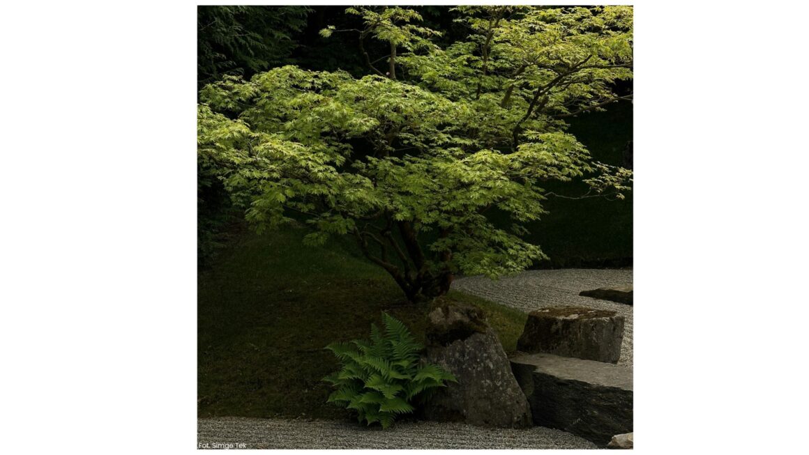 Ogród jako nauczyciel życia-o cierpliwości, harmonii i terapeutycznej mocy natury