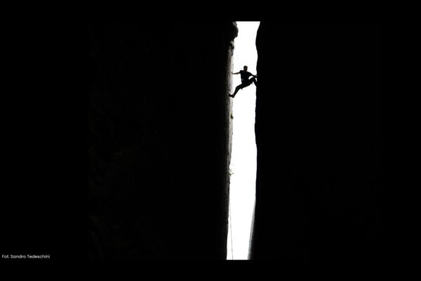 Wytyczając nowe szlaki: o odwadze tworzenia własnej ścieżki