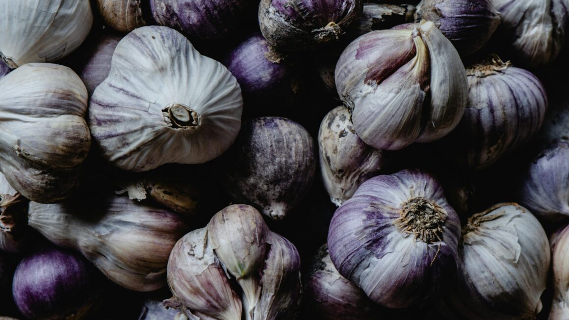 Czosnek – skarb polskiej kultury i tradycji: Kiszenie jako sposób na zachowanie zdrowia