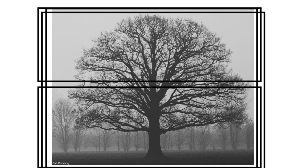 Wyobraźnia w działaniu: od myśli do rzeczywistości