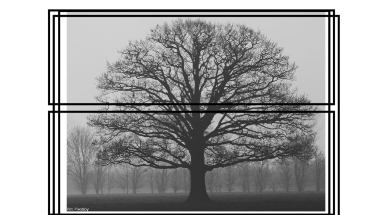 Mózg człowieka to nie tylko odbiornik rzeczywistości, ale także aktywny kreator doświadczeń. Dzięki neuroplastyczności i zdolnościom do przetwarzania wyobrażeń w sposób zbliżony do rzeczywistości, możemy wpływać na nasze reakcje, emocje i zachowania.