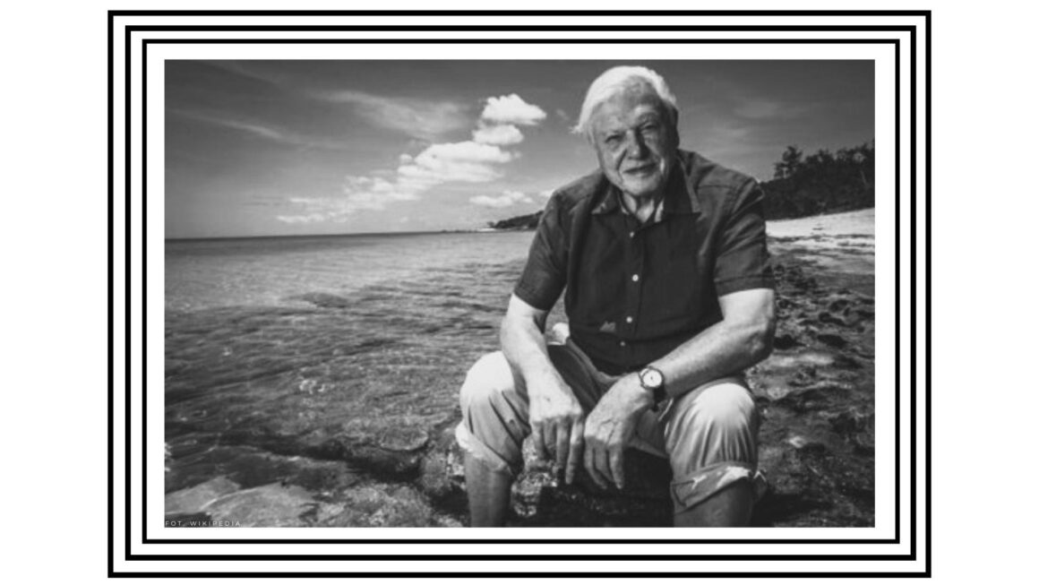 Sir David Attenborough – 99 lat fascynującej podróży przez życie naszej planety