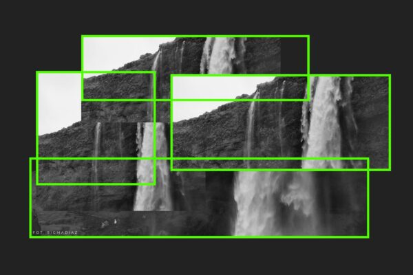 Kto z kim przestaje, takim się staje – o tym, jak środowisko kształtuje naszą tożsamość i jak można wybrać siebie na nowo
