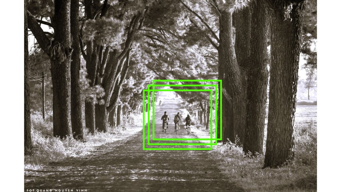 Lato – czas wolności, zapachu ziemi i długich dni