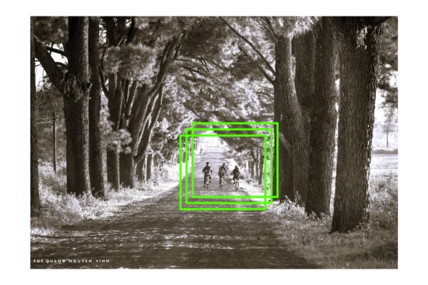 Lato – czas wolności, zapachu ziemi i długich dni