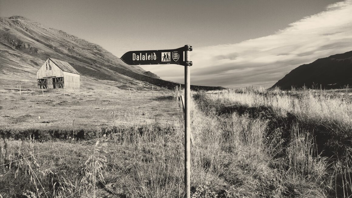 Stając się sobą -o odwadze wyboru siebie