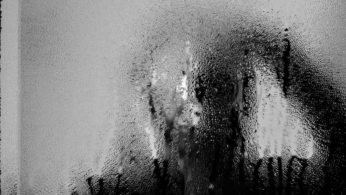 Granica między percepcją a wyobrażeniem w świetle neuronauki.